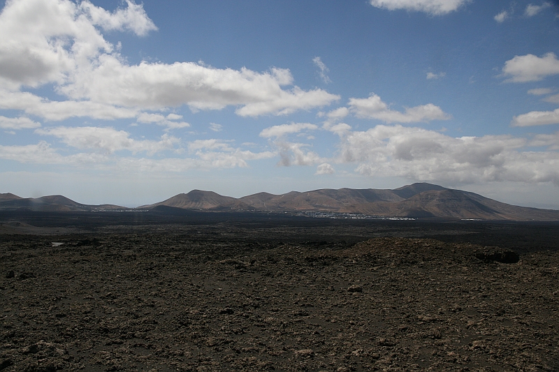 Kanary_2010 101